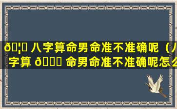 🦁 八字算命男命准不准确呢（八字算 🐅 命男命准不准确呢怎么看）